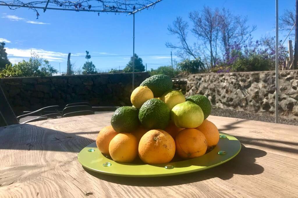 エル・パソ Casita La Rosaヴィラ エクステリア 写真